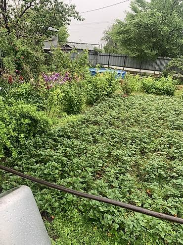 с прдселением: Продам два участка,на одном жилой дом,на втором участке дом под — 8