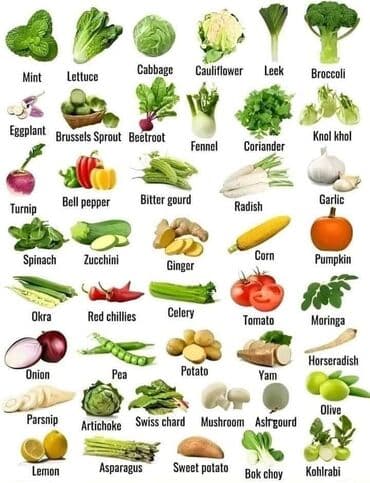 кыргыз тил мугалим: Тил курстары Англис Чоңдор үчүн, Балдар үчүн — 3