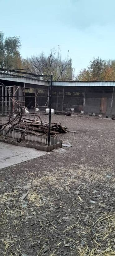 продаю дом новониколаевка: Үй, 150 кв. м, 5 бөлмө, Менчик ээси, Евро оңдоо — 21