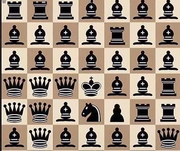 Я тренер по шахматом ищу работу .Бишкек