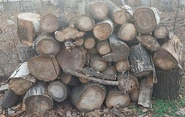 Дрова Карагач, Самовывоз