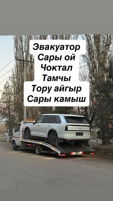 stihl ts 800: С лебедкой, С ломаной платформой — 1