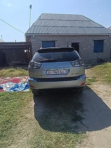 lexus 700: Lexus RX: 2004 г., 3.3 л, Автомат, Газ, Кроссовер — 3