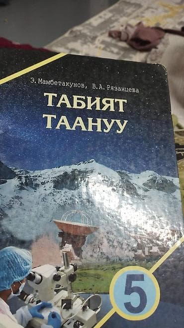 ош жапалак: Учебник «Адабий окуу», 2 класс. Авторы: Б. А. Абдухамидова, С. К. Ры — 3