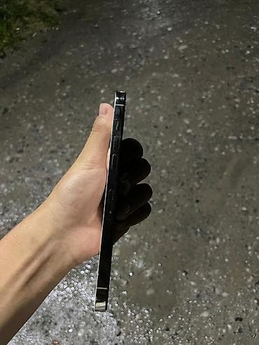 IPhone 12 Pro Max, Б/у, 128 ГБ, Серебристый, 100 %