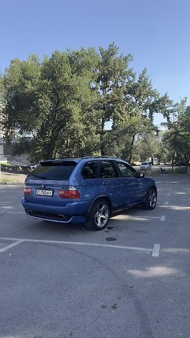 BMW X5: 2003 г., 4.4 л, Автомат, Бензин, Внедорожник — 4