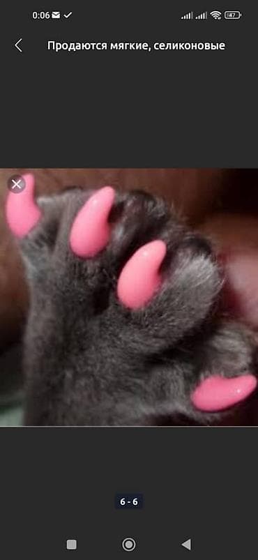 fish eye: Силиконовый антицарапки. Многие на просторах интернета сталкивались — 7