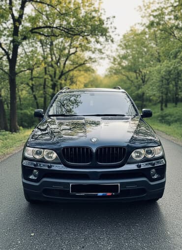 BMW X5: 2003 г., 3 л, Автомат, Дизель, Кроссовер
