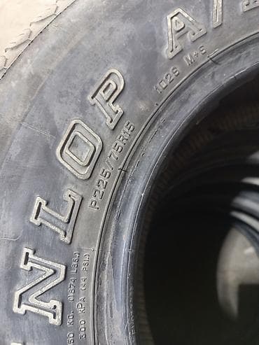 Шины 225 / 75 / R 15, Всесезонная, Комплект, Внедорожные (АТ/МТ), Dunlop — 2