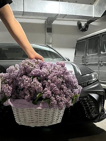 корзины на той: Сирень на корзине 🌸 Срезана сегодня утром, свежая 51 веток Пока — 3