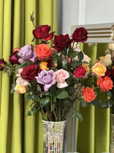 где купить саженцы гортензии в бишкеке: Саженцы роз — 2