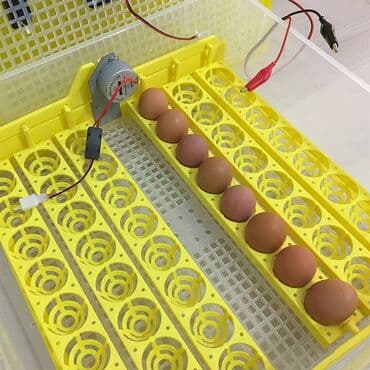 ящик почтовый: Лоток с механизмом поворота на 48 98 куриных яиц 63 индюшиных — 1