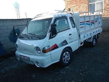 портеры: Портер накилейка — 7