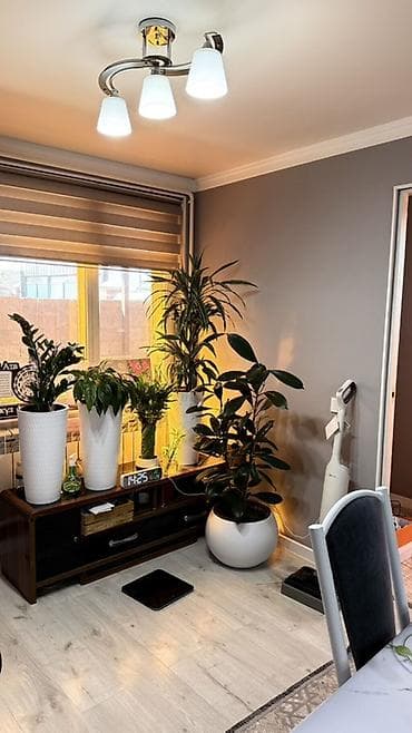 недвижимость новопокровка: 🚨 **СРОЧНО ПРОДАЕТСЯ ДОМ!** 🏡 📍 Новопокровка (всего 500 м от трассы) — 3