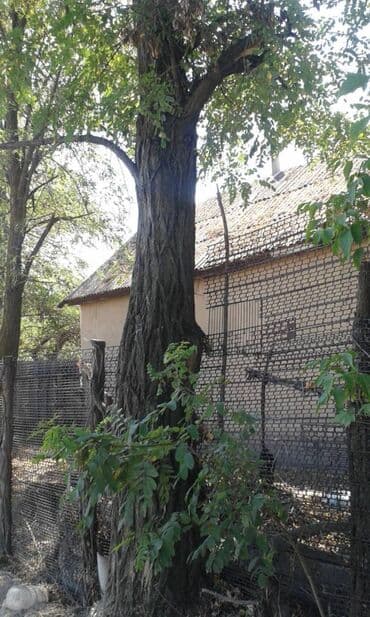 печь для отопления дома бишкек: Отун Карагач — 2