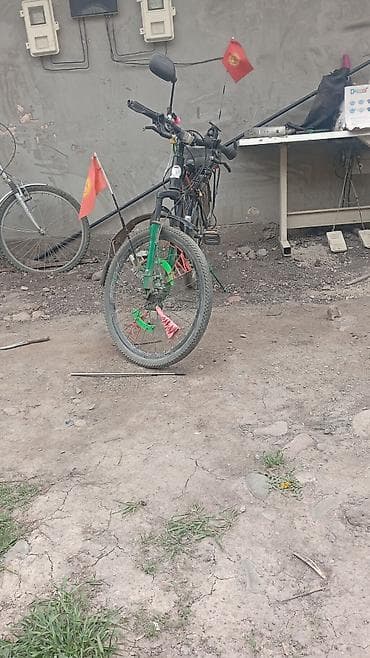 single speed: Городской/туристический велосипед с тюнингом Характеристики и — 1