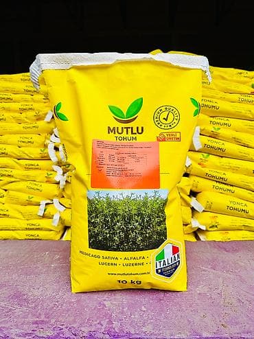 бенза пила: Семена оптом люцерна Беде урук Мутлу 🍀☘️☘️☘️☘️☘️ Италия 🇮🇹 — 1
