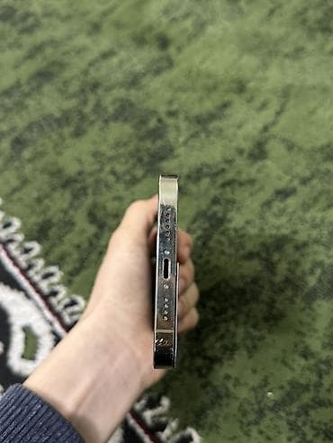 core i7: IPhone 13 Pro Max, Серебристый — 6