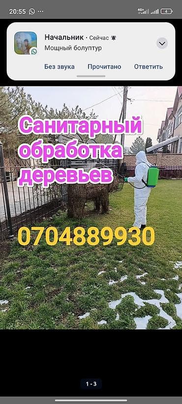 axe: Профессиональный уход за участком: - Покос газона: ровный срез — 2