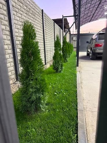 Дома: 🏡 **Продаётся уютный дом в ж/м Ак-Орго!** 📍 Район: ж/м Ак-Орго, ул — 4