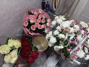 За все 3000с т