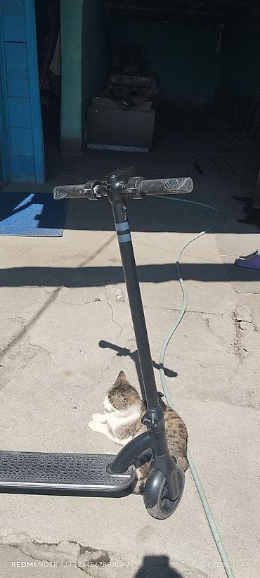 bmw e60 m5: Электросамокат, Б/у — 1