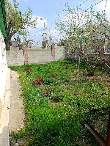 дом 50000: Продаётся земельный участок с домом и хозяйственными постройками — 7