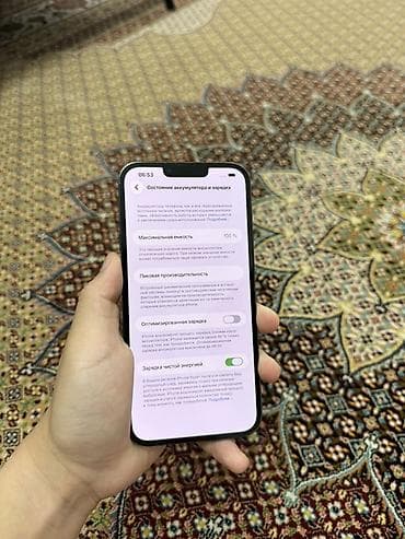 apple vision: IPhone 13 Pro, Alpine Green, 100 % — 2