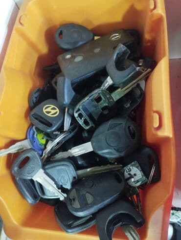 Бала бакчалар, бала багуучулар: Компьютердик диагностика, Автоунаа системаларын жөнгө салуу, адаптациялоо, баруу менен — 12