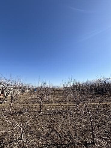 дом бта: 14 соток, Для строительства, Красная книга — 9