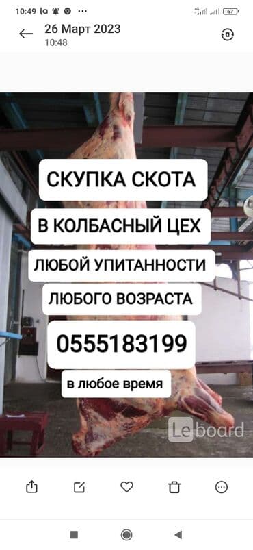 домик для животных: Сатып алам | Уйлар, букалар, Жылкылар, аттар | Күнү-түнү, Бардык шартта, Союлган — 1