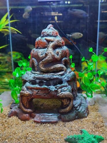 аквариумная рыбка: Аквариум с декорациями объём 15 л — 5