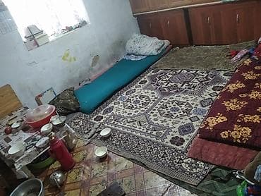 паспурт жоголду: Салам туугандар Ош шаарында дача денег жерде кампир чал бар 1 комната — 3