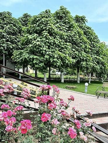 загородные домики бишкек: Корумду, Детская площадка, Закрытый пляж, Охраняемая территория — 9
