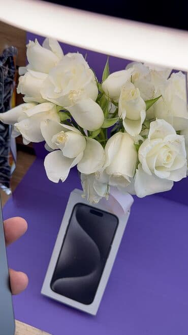 ноутбук apple цена бишкек: IPhone 15 Pro, Колдонулган, 256 ГБ, 86 % — 3