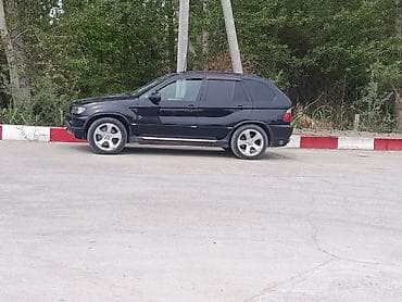 BMW X5: 2002 г., 4.6 л, Автомат, Газ, Внедорожник