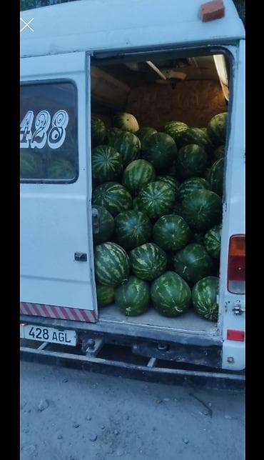 бампера 210: Грузовик, Mercedes-Benz — 5