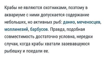 рыбо: Радужные крабы (картины на фото) для содержания в — 7