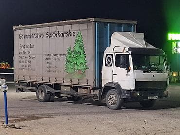 sprinter 315: Mercedes-Benz : 1993 г., 6 л, Механика, Дизель, Универсал — 2