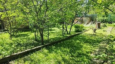 дом село кок джар: 5 соток, Красная книга — 6