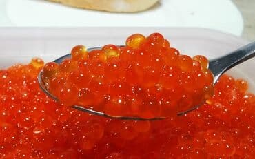 сафлоровый масло: Свежий, 1 кг, Самовывоз — 1