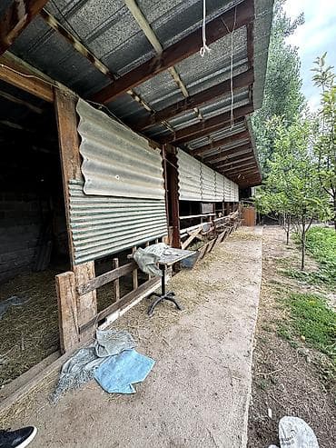 Дома: 📌В селе Беловодское срочно продаётся дом на участке 10 соток. ▪️В — 7