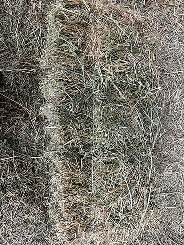 кормушки для птиц: Сено в тюках (прямоугольные малые тюки). - Травяная смесь: луговые — 2