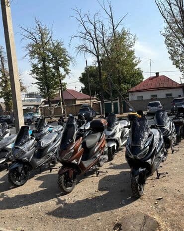 домкрат для джипа: Mazda 6 MPS: 2024 г., 0.3 л, Механика, Газ — 9