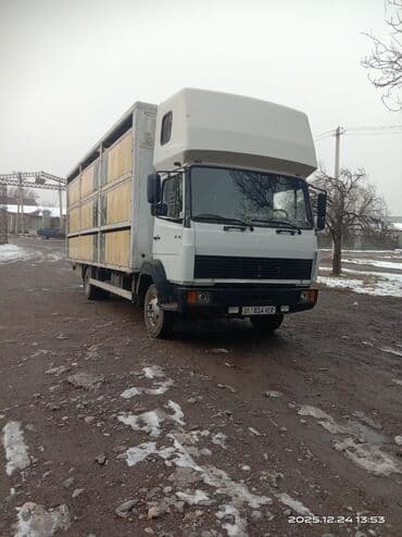 кабина howo: Грузовик, Mercedes-Benz, Стандарт, 7 т, Б/у — 8