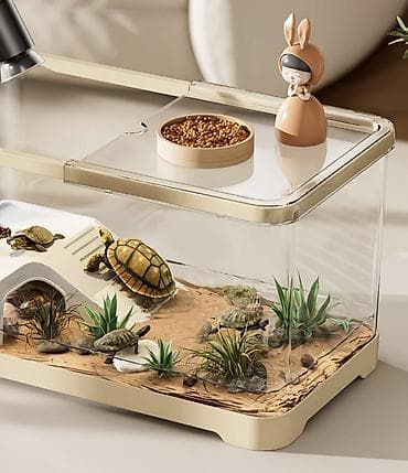 для рыб: 🐢 Идеальный аквариум для водных черепах и рыб! Создайте комфортный и — 2