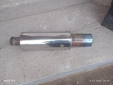 Идеальный састаяние приматок