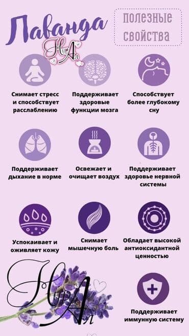 орбизный пистолет купить: Наличие спрей от вщей — 2