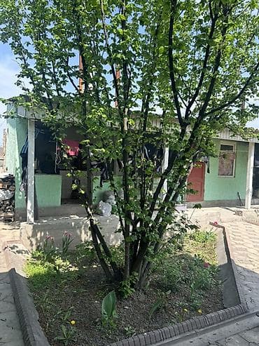 fred perry: 8 соток — 8