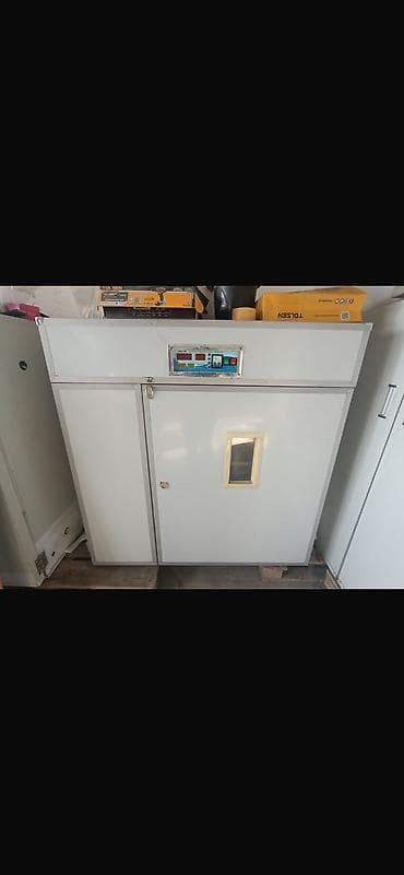 ps3 цена бу: Продаётся выводной инкубатор на 12 ( 1050 куриных яиц) лотков — 2